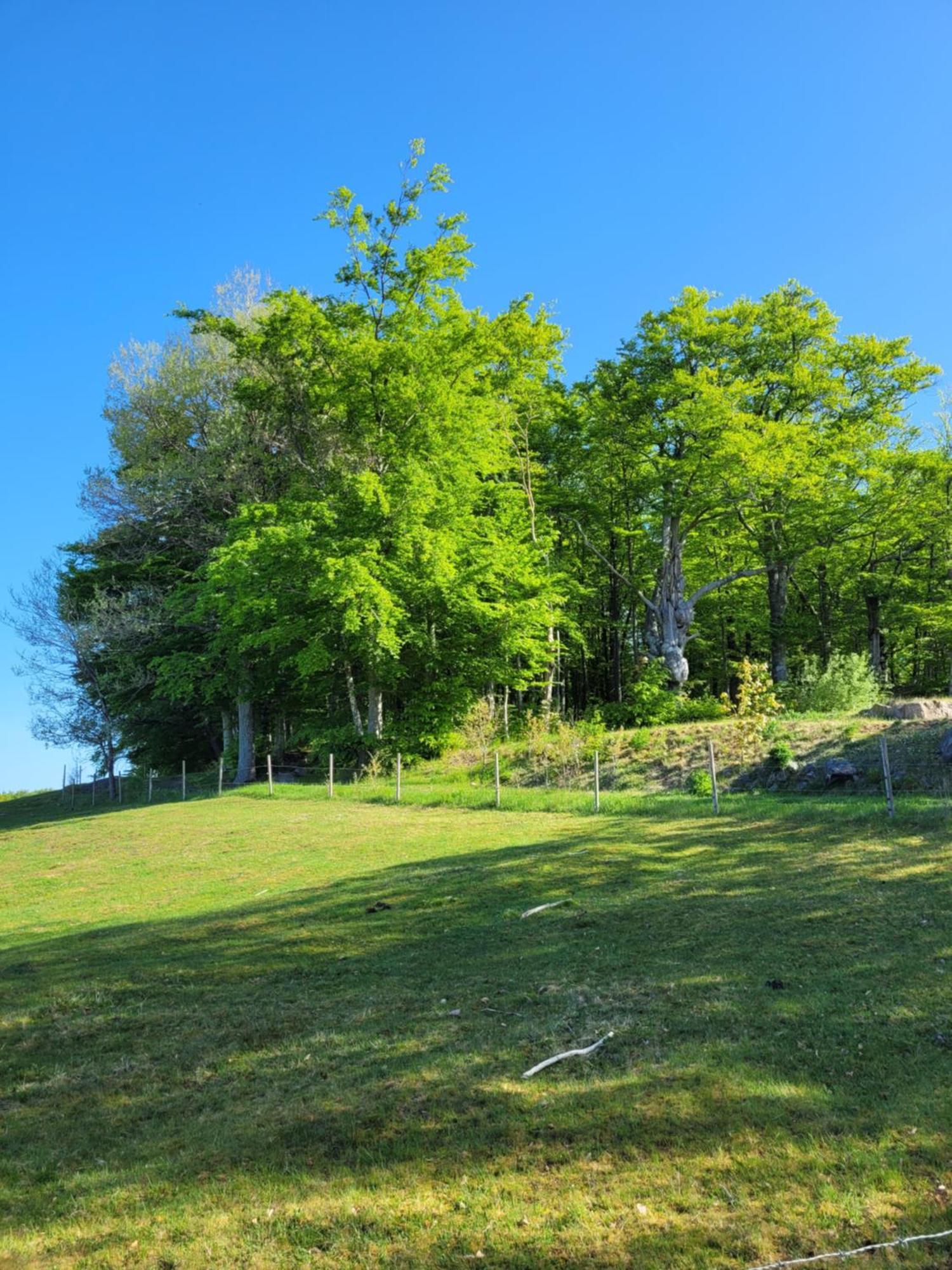Bokskogens Guesthouse Kulltorp  エクステリア 写真
